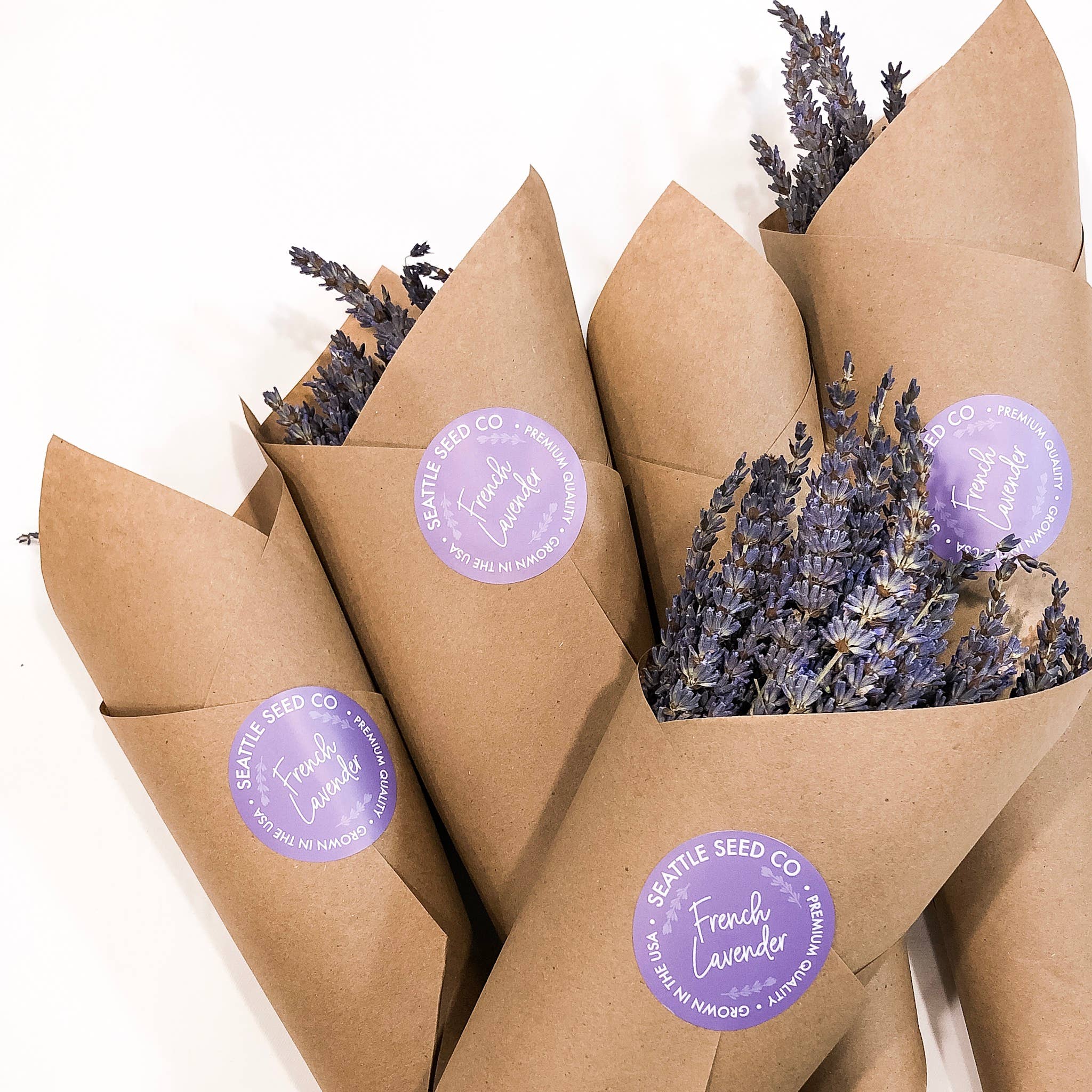French Dried Lavender Bunch - Natural - Kraft Paper - set of 6