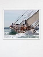 Sailing - Framed Photography