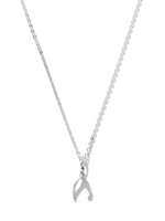 Tiny Wishbone Necklace - Silver