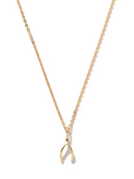 Tiny Wishbone Necklace - Vermeil