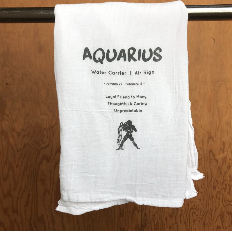Aquarius Dish Towel