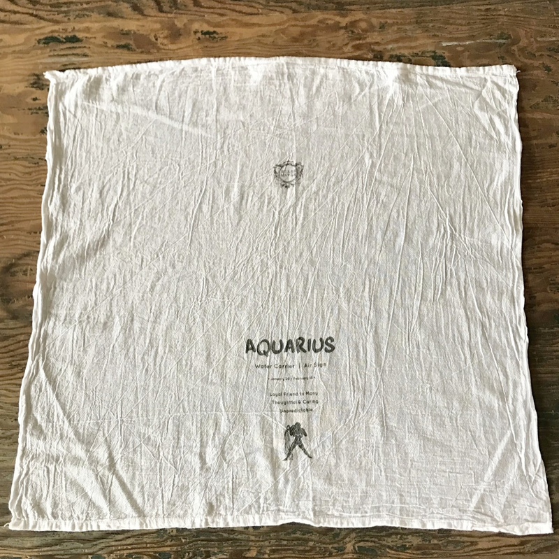 Aquarius Dish Towel